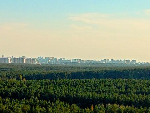 квартира за адресою Кургузова вул., 1-А к4