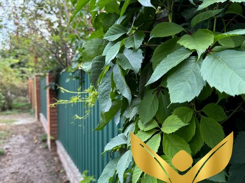будинок за адресою Дарвіна вул., 45