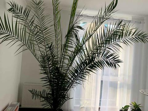 квартира за адресою Стрийська вул., 111