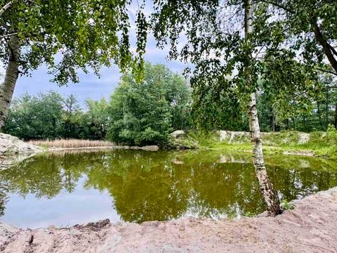 будинок за адресою Залужний пров., 10