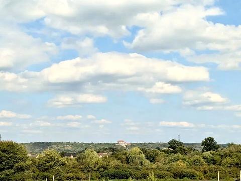 квартира по адресу Романа Вірастюка ул., 3