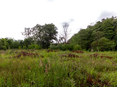 ділянка за адресою Пироговська вул.