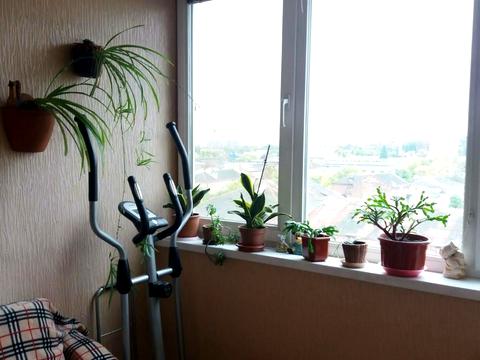 квартира по адресу Конева