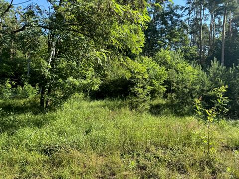 ділянка за адресою Орлова