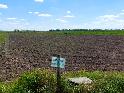 участок по адресу Молодіжна, 40