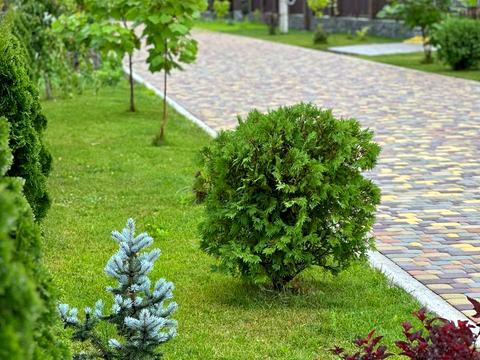 дом по адресу Святкова