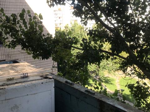 квартира за адресою Олександра Махова вул. (Жолудєва), 8-А