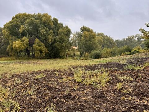 будинок за адресою с. Перегонівка, Механизмізаторів