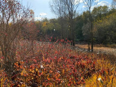 участок по адресу Фермерская ул.