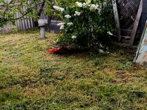 дом по адресу Дубківстка, 54