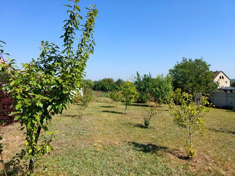 будинок за адресою Центральна, 19