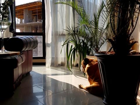 квартира за адресою Армійська, 8 В