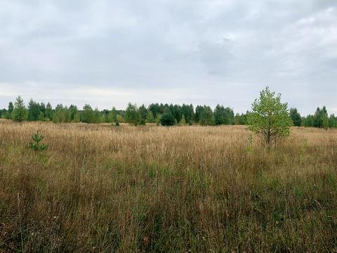ділянка за адресою Чапаева