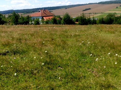 участок по адресу Степана Бандери