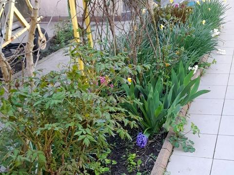 дом по адресу Чорноморська дорога, 2а