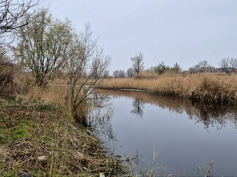 будинок за адресою Шосейна вул., 23