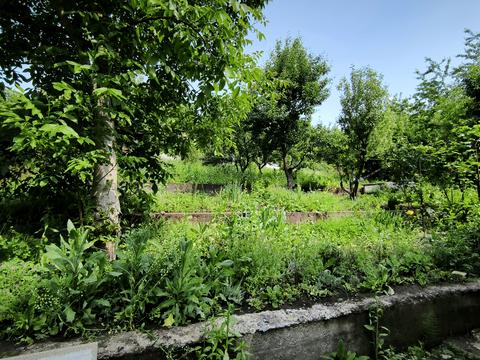 будинок за адресою Лісова