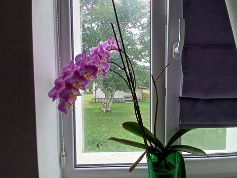 будинок за адресою Авіаторів