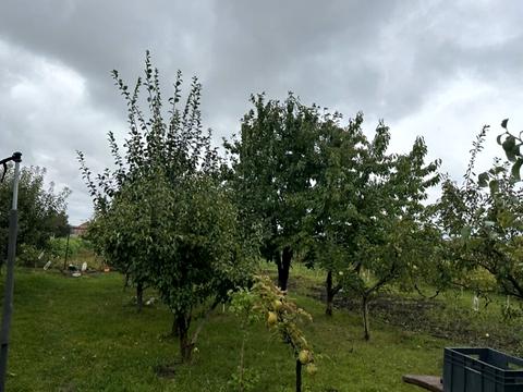 дом по адресу с. Гавришовка, Сонячна, 37