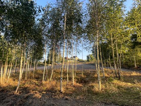 участок по адресу Черешневая ул.