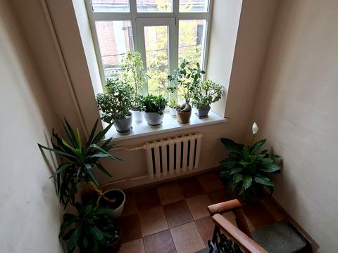 квартира за адресою Левандовська вул. (Аніщенка), 8/15