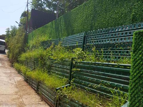 дом по адресу Шкиперская, 102