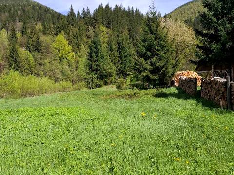 будинок за адресою  Татарів, Курортна вул.