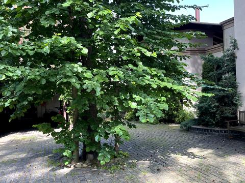 будинок за адресою СТ Дніпро