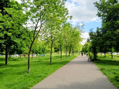 квартира за адресою Петра Панча вул., 5