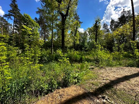 ділянка за адресою 