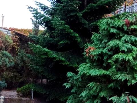 будинок за адресою Дачна вул., 8а