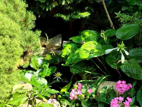 квартира по адресу Миколи Лукаша ул. (Миколи Скрипника), 6