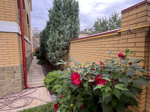 будинок за адресою Академіка Кримського пров.