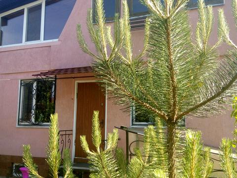 дом по адресу Рибальська