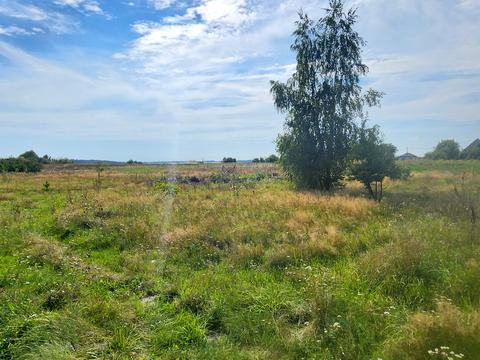 ділянка за адресою Захисників України