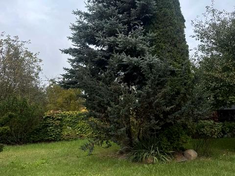 будинок за адресою Академіка Малиновського вул.