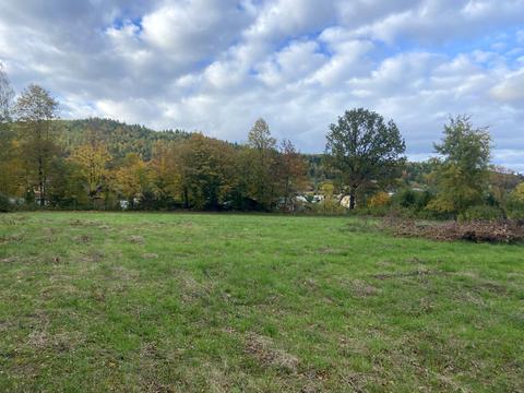 ділянка за адресою Вишенського, 75