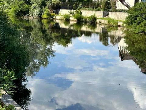 будинок за адресою Лугова вул., 14