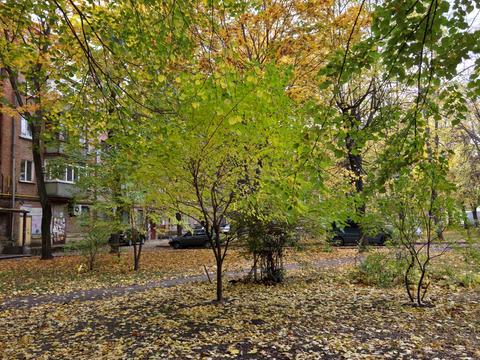 квартира за адресою Шевченка бульв., 345