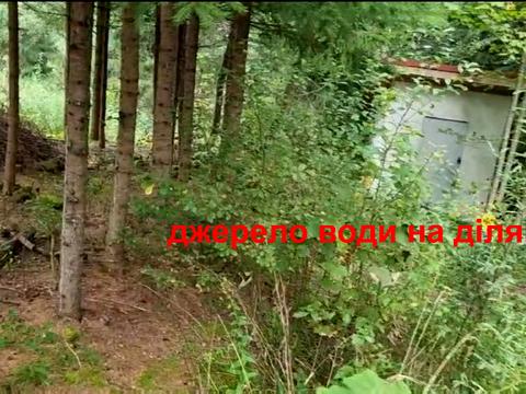 участок по адресу с. Яблоница, довгий грунь