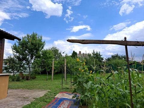 ділянка за адресою с. Лютіж, Визволителів вул.