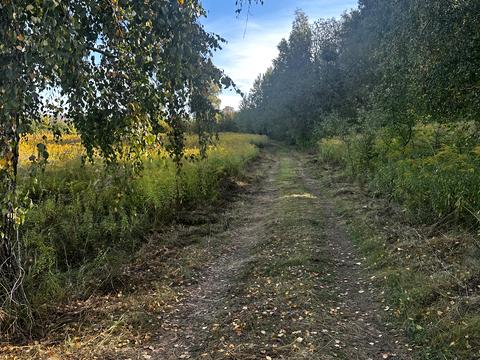 участок по адресу с. Рославичи, Полевой пер.