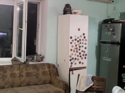 дом по адресу Робеспьера ул.
