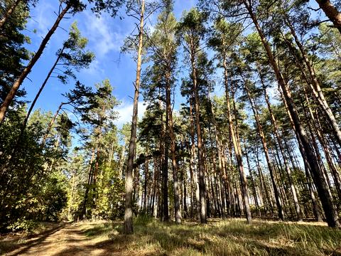 ділянка за адресою Чубаря