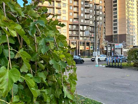 квартира за адресою Генуезька вул., 1Б