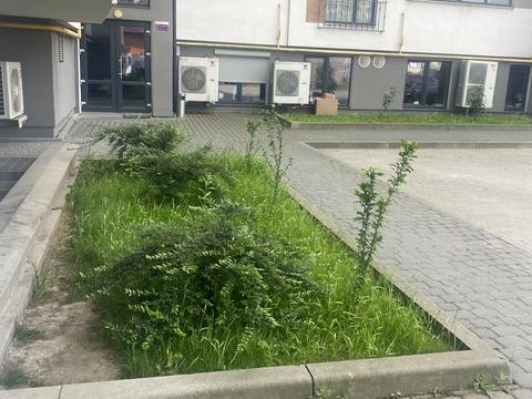 квартира за адресою Зелена вул., 119