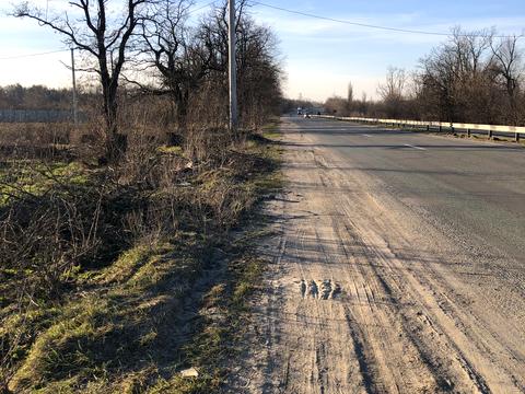 ділянка за адресою Заводська