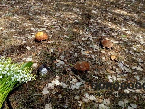 будинок за адресою Ватутіна