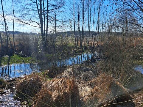 ділянка за адресою с. Білогородка, 