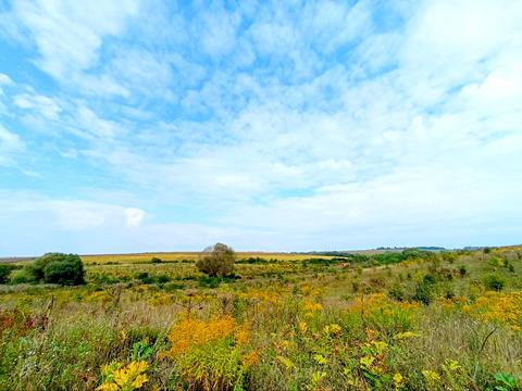 ділянка за адресою СТ Грузевицький-1